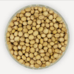 Variety